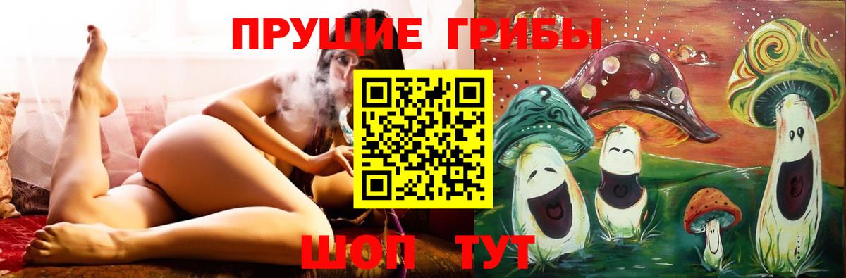дарнет шоп  Псилоцибиновые грибы ЛСД  Вход с VPN  Михайловск  Галлюциногенные грибы Psilocybe 